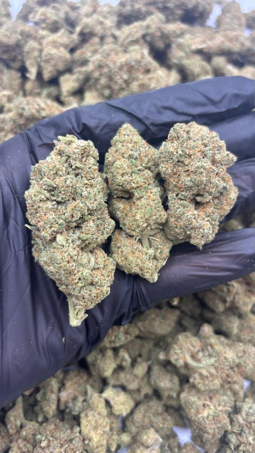 USA LEMON HYDRO - 30% HHC-X