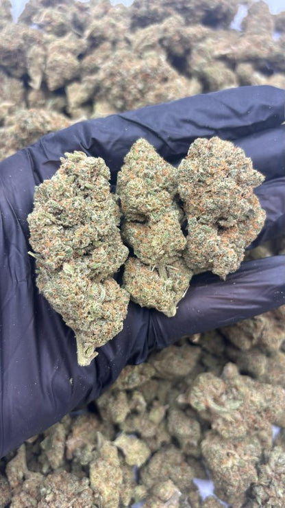 USA LEMON HYDRO - 30% HHC-X